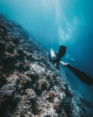 中超 上海海港vs山东